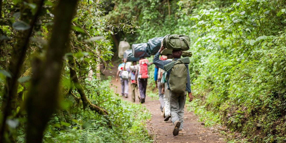 Mweka Camp - Gallery Image 1
