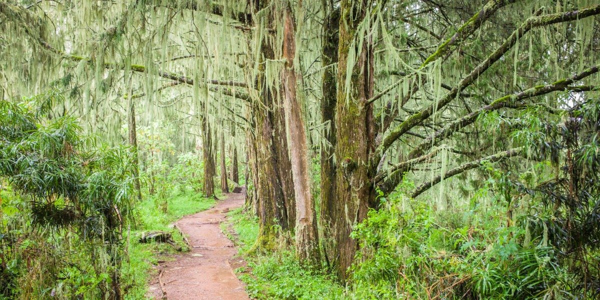 Shira 1 Camp - Gallery Image 2