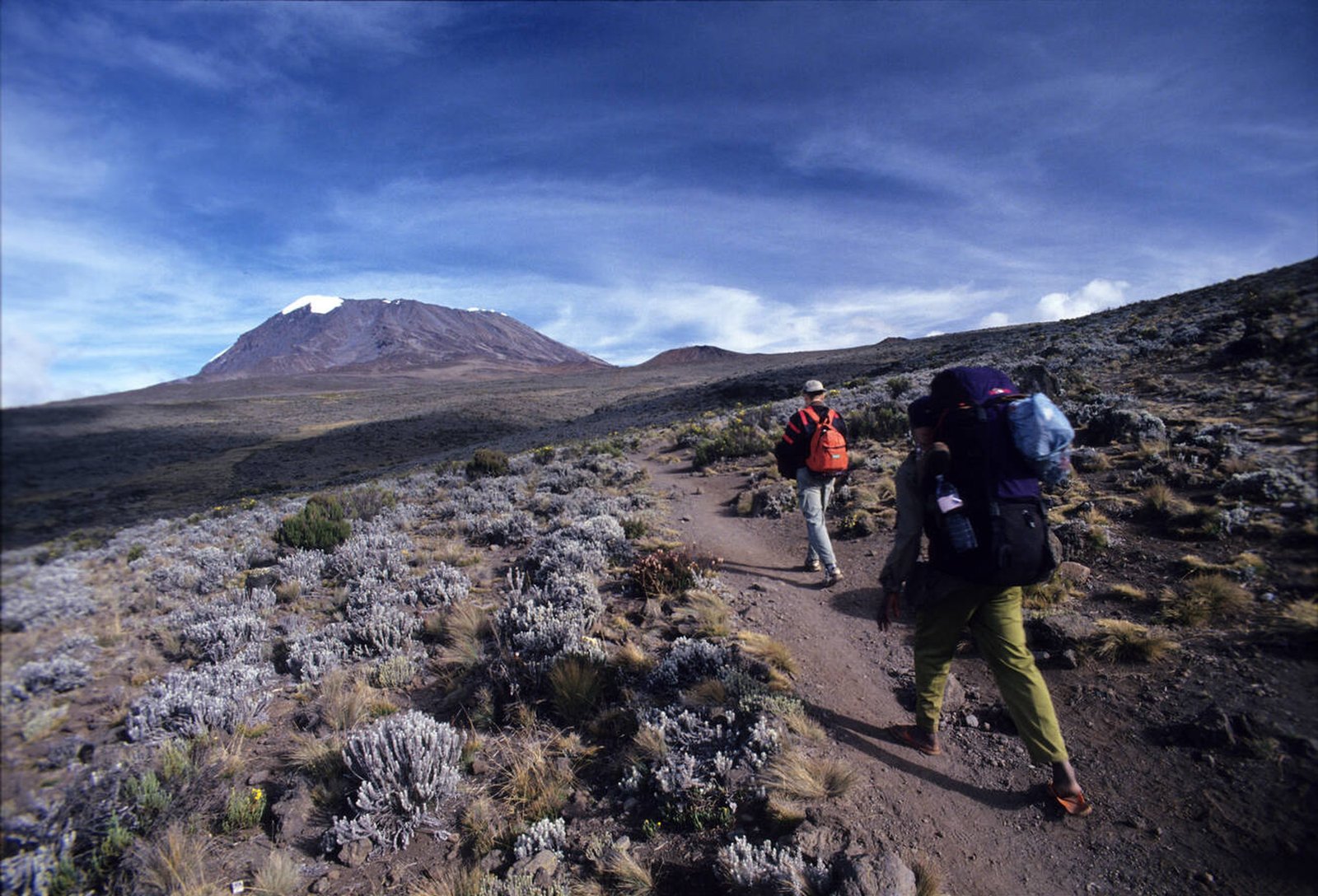 Kibo Hut - Gallery Image 1