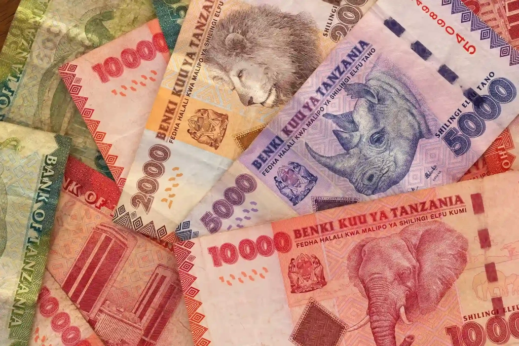 Foreign Currency Payments Banned in Tanzania: What Travelers Need to Know (2026)