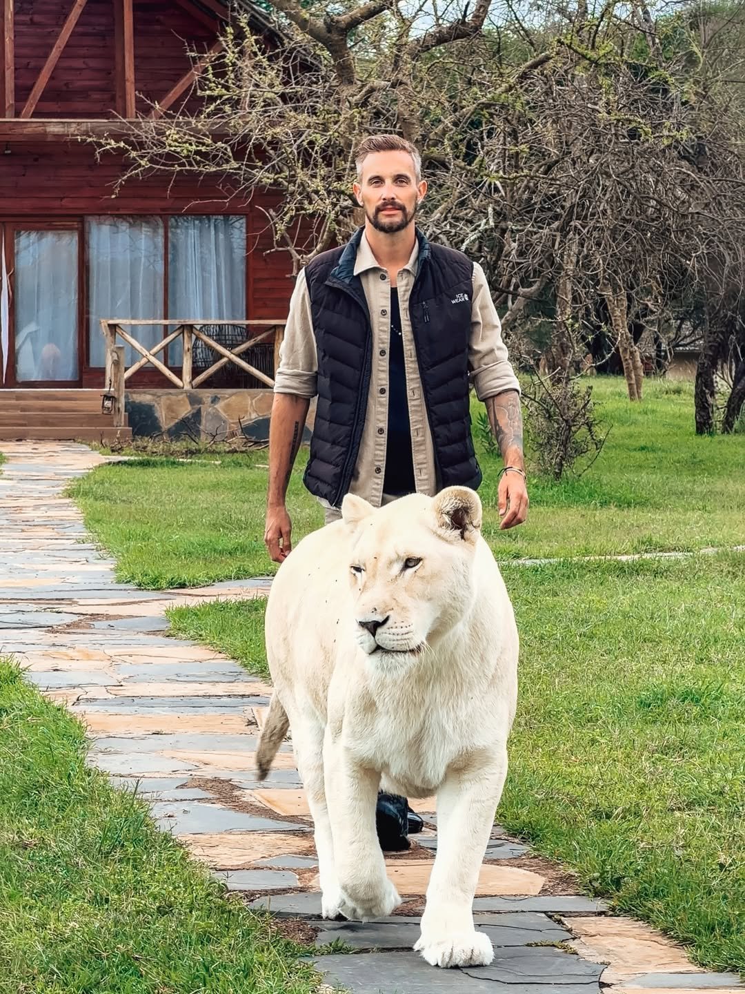 What I Wish I Knew Before Going on a Tanzania Safari (2026 Guide)