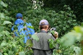 Best Diving Sites in Tanzania 2026–2027: Whale Sharks, Coral Gardens & Underwater Wonders