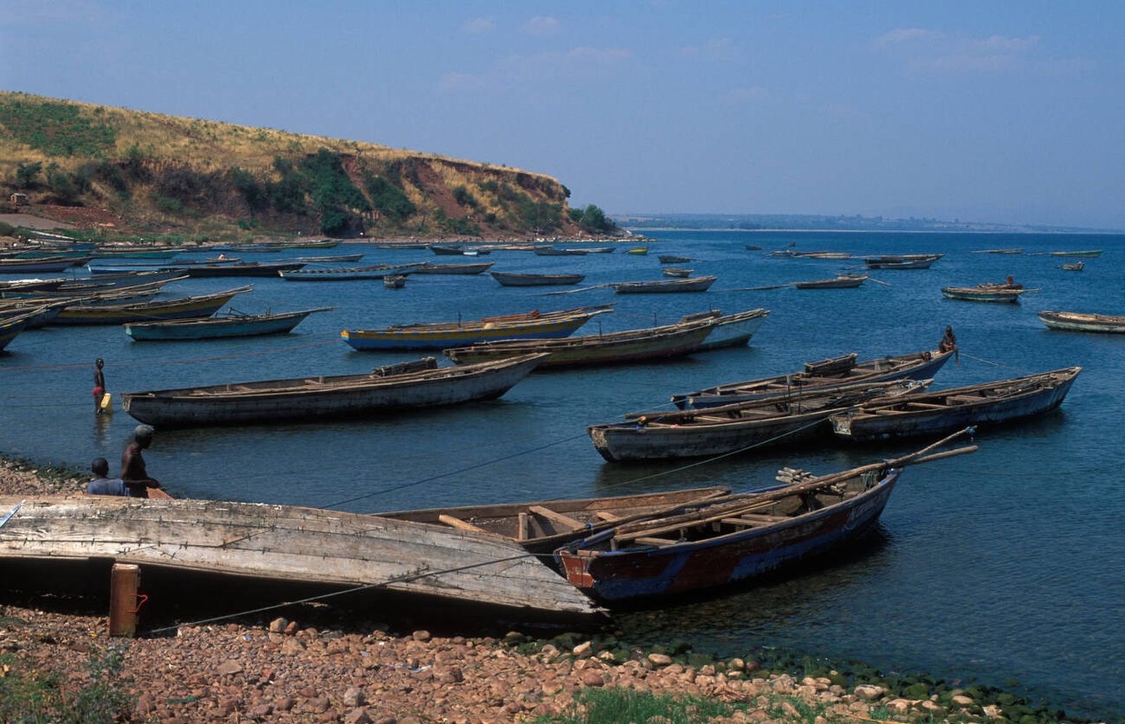 Changuu Island (Prison Island) Zanzibar: Giant Tortoises, History & How to Visit
