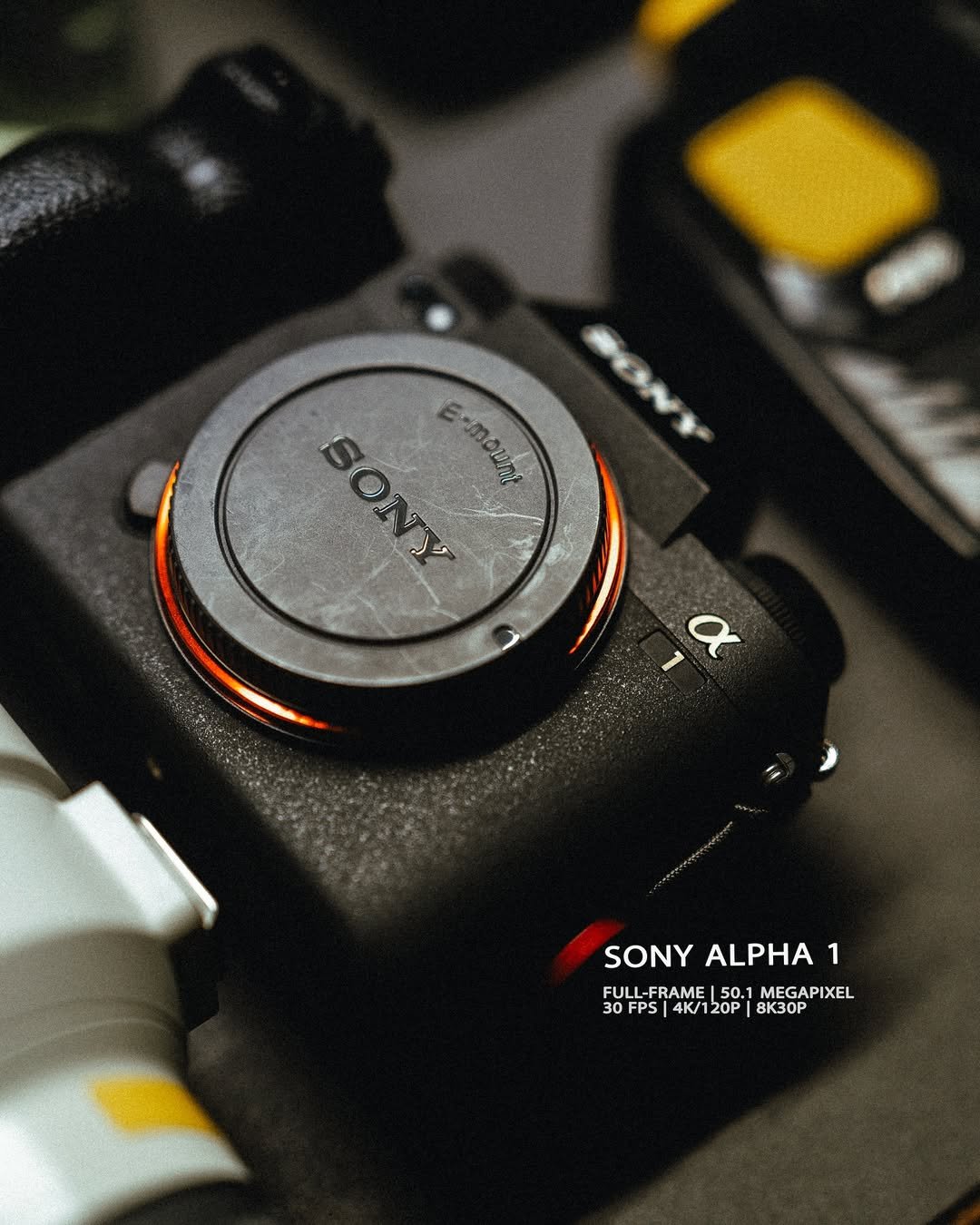 Best Camera Gear for a Tanzania Safari