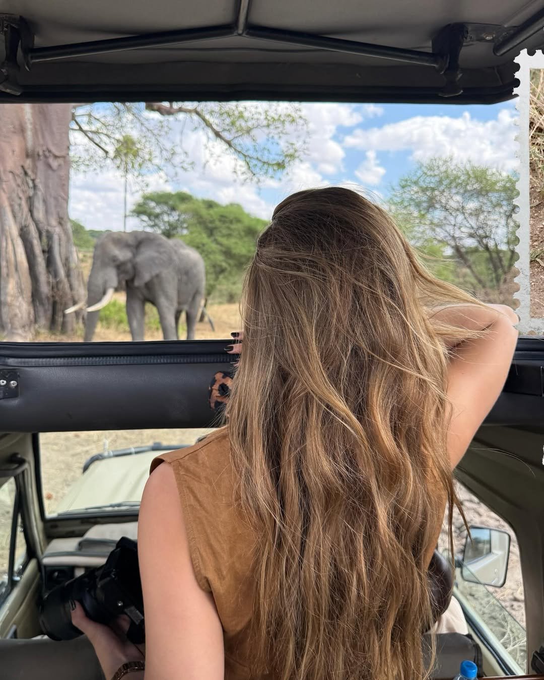 Solo Safari in Tanzania: A Complete Guide for Safe and Unforgettable Travel