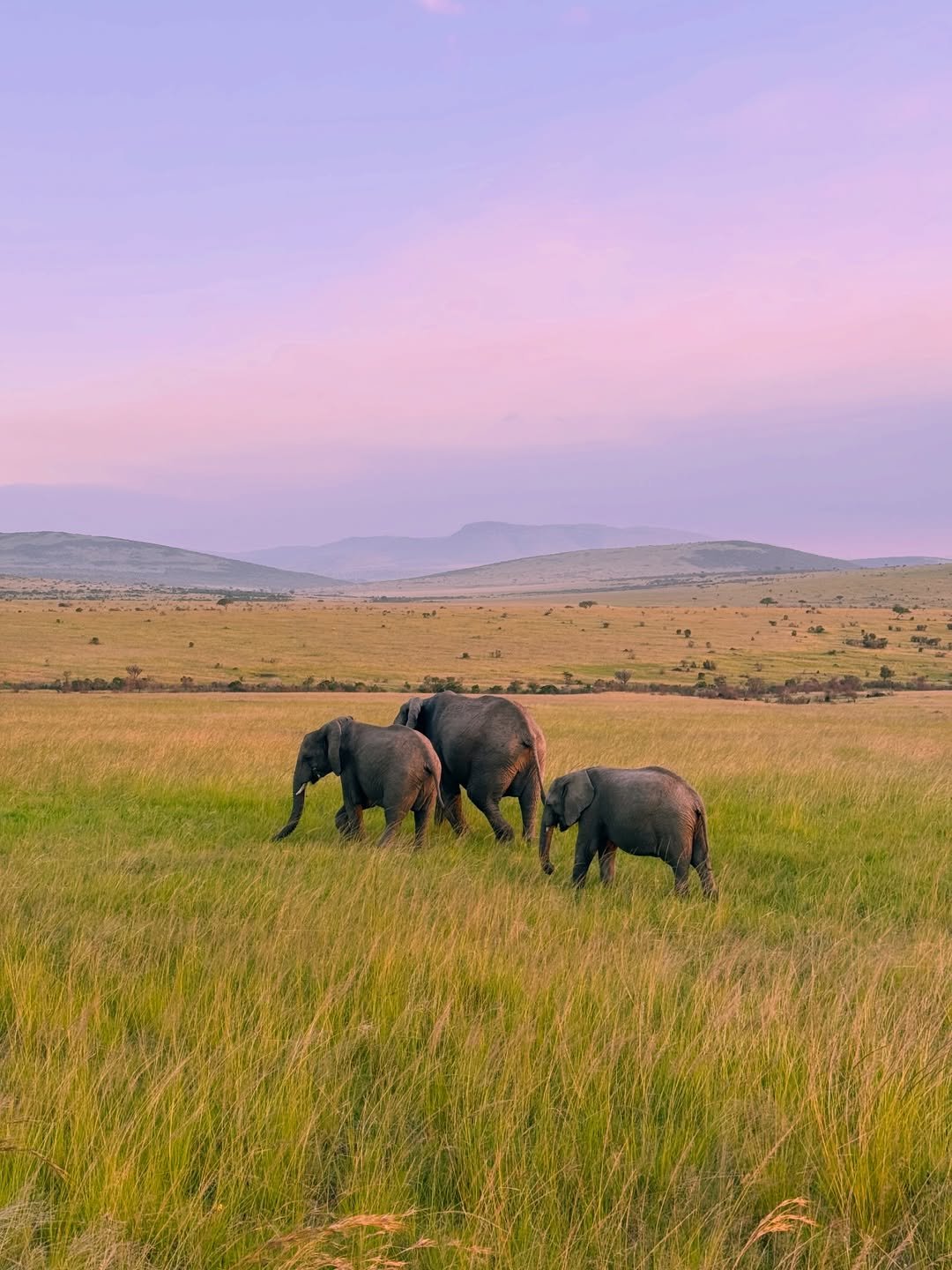 Top 10 Reasons to Visit Tanzania: Safari, Kilimanjaro, Zanzibar & Cultural Experiences