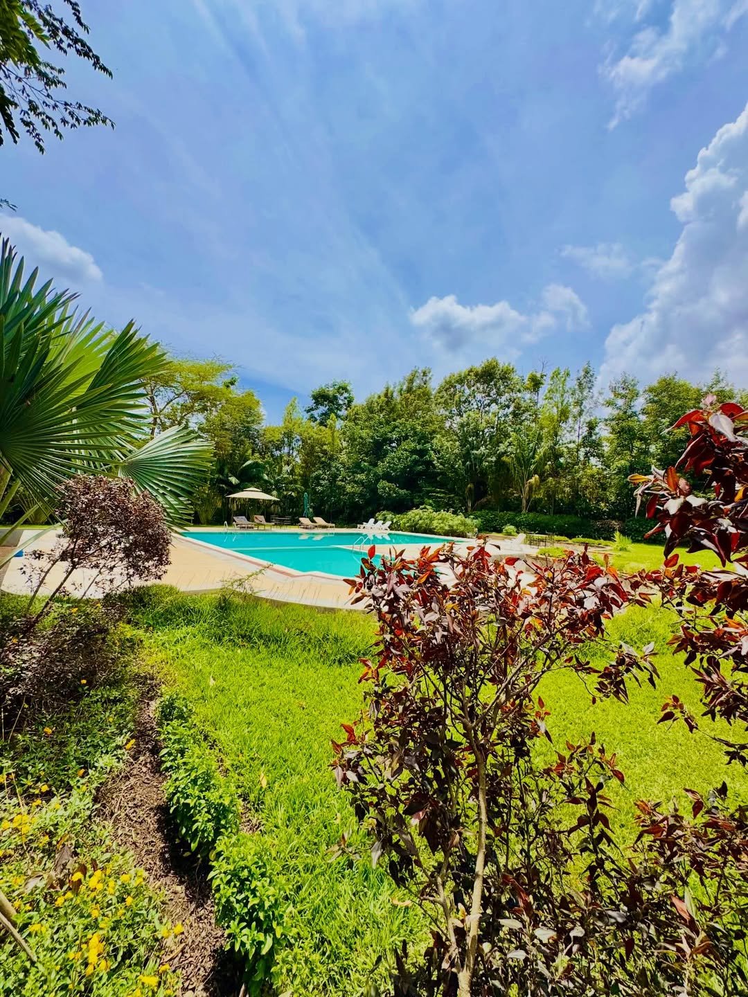 Kikuletwa Hot Springs (Chemka / Maji Moto) Tanzania: Ultimate 2026/2027 Guide