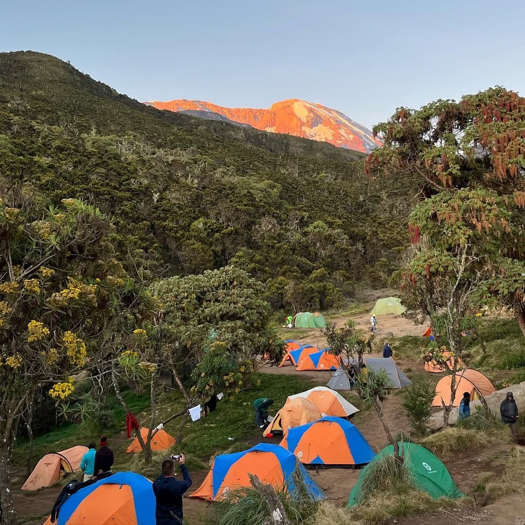 A Day in the Life on Mount Kilimanjaro: Your Complete Daily Routine Guide | Kilisherpas Travel