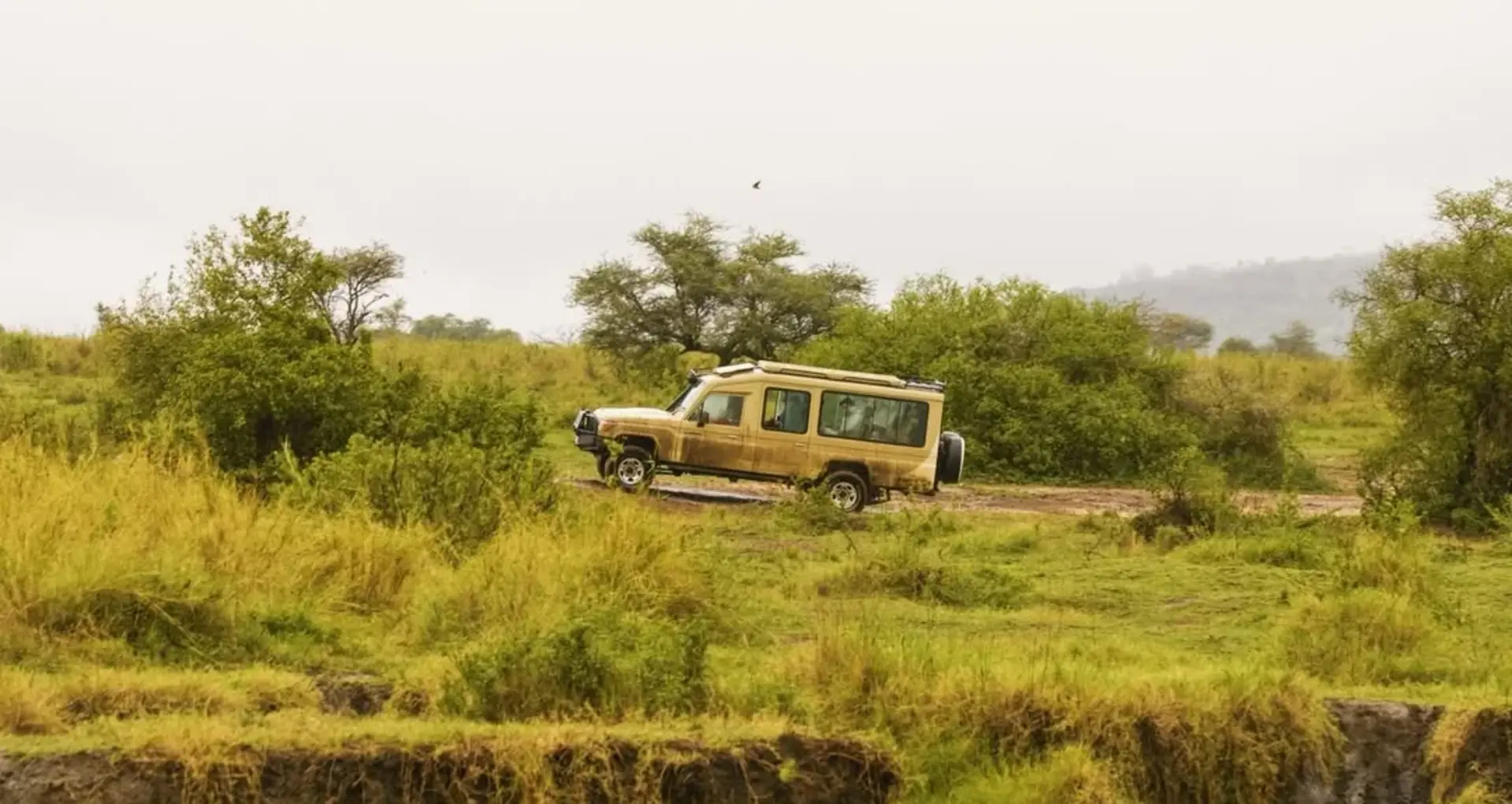 Why Kilisherpas Travel Sets the Benchmark for Safaris in Tanzania | The Gold Standard of Tanzanian Safari Experiences