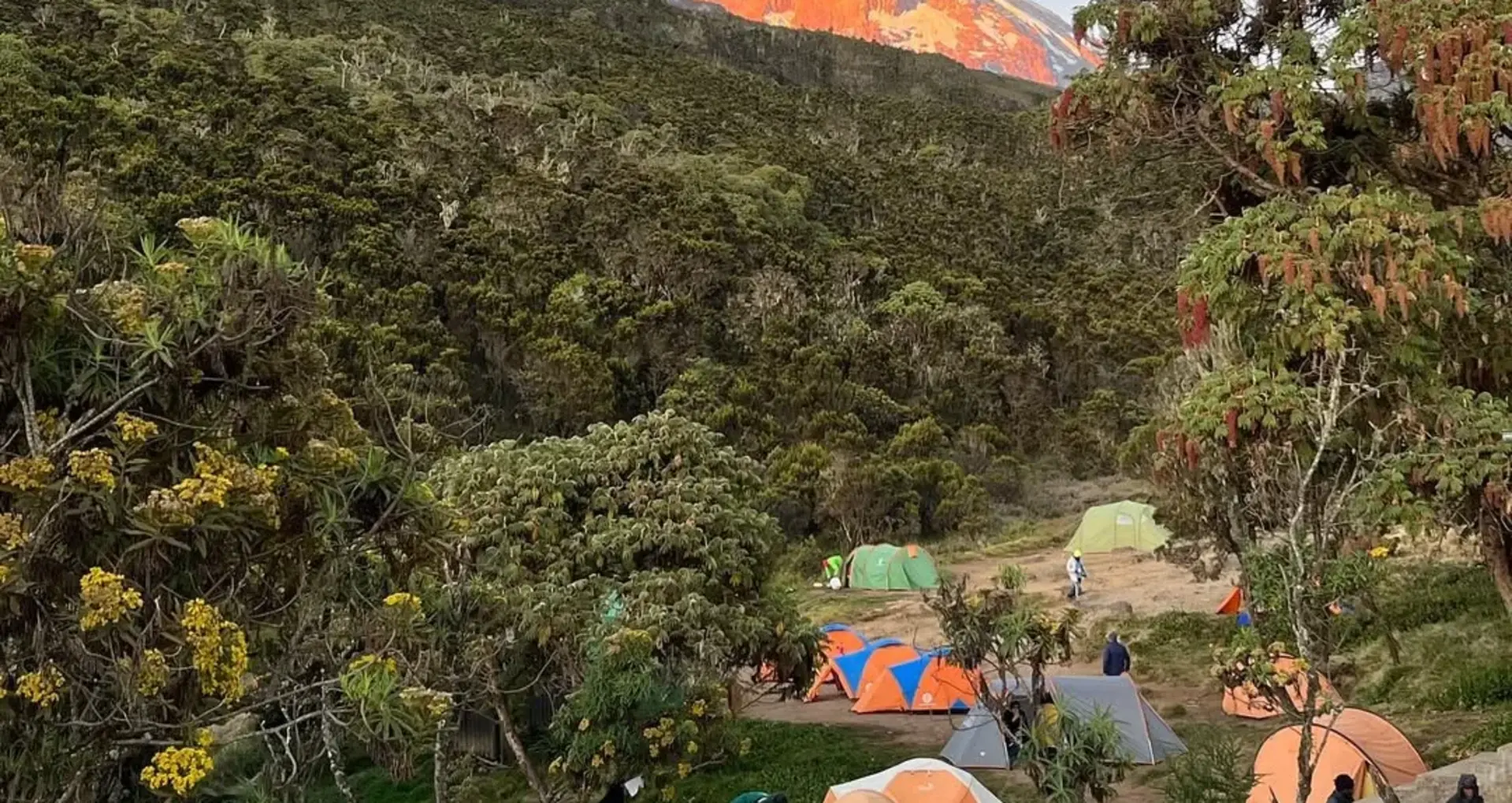 A Day in the Life on Mount Kilimanjaro: Your Complete Daily Routine Guide | Kilisherpas Travel