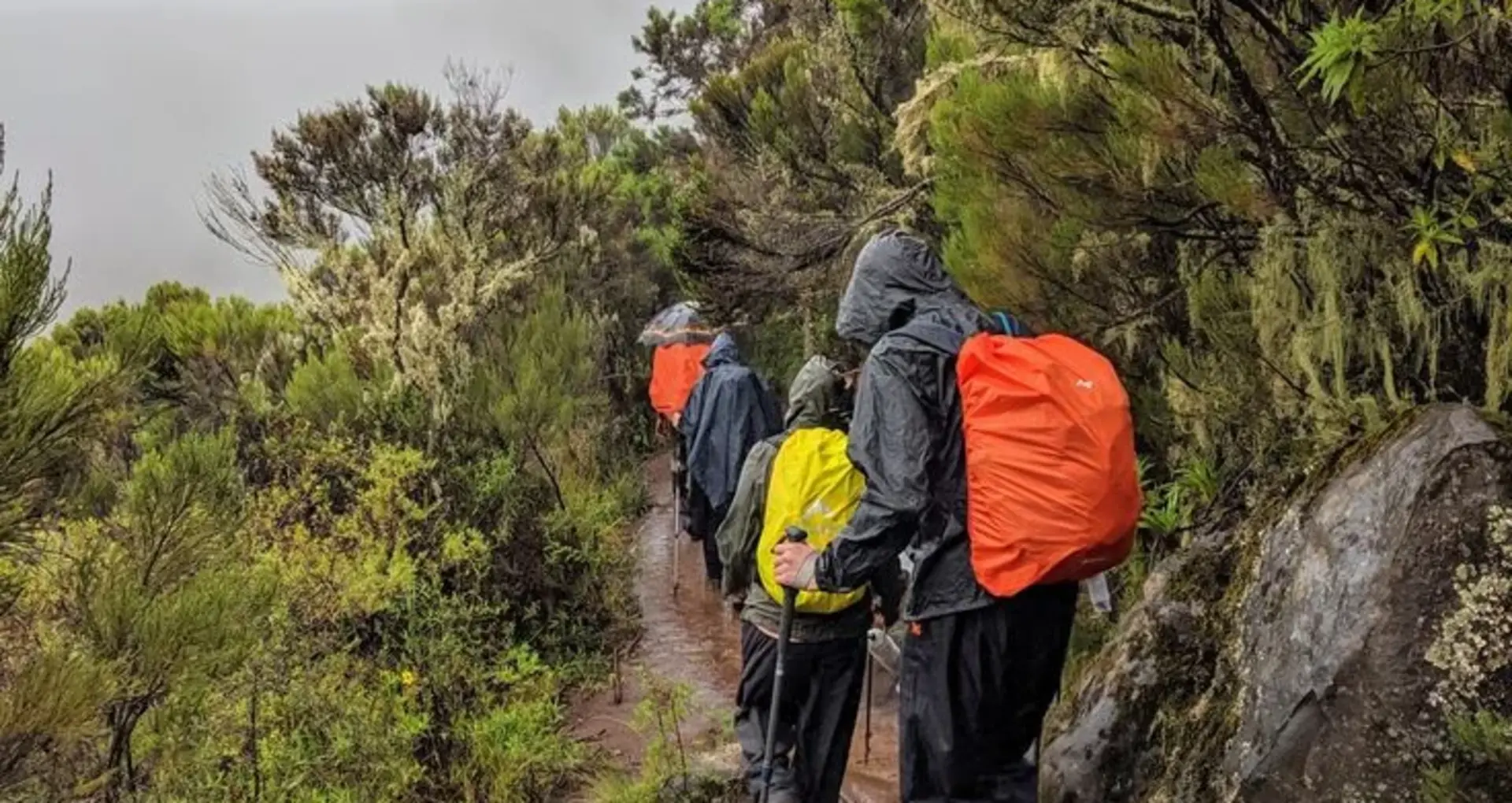 Climbing Mount Kilimanjaro During the Rainy Season: Tips, Pros & Cons for Adventurers