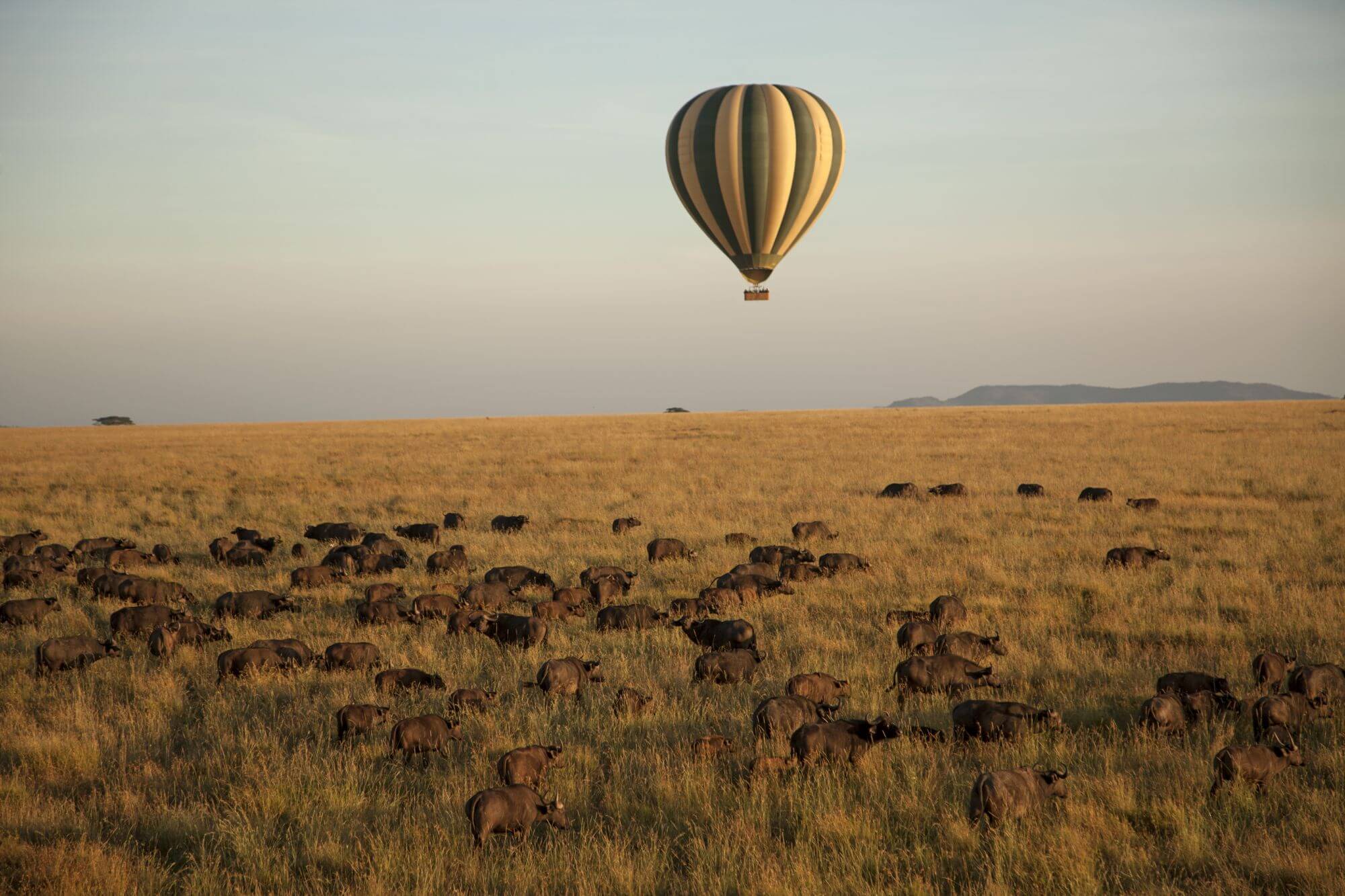A Guide to Serengeti Hot Air Balloon Safaris in Tanzania: 2025 -2026