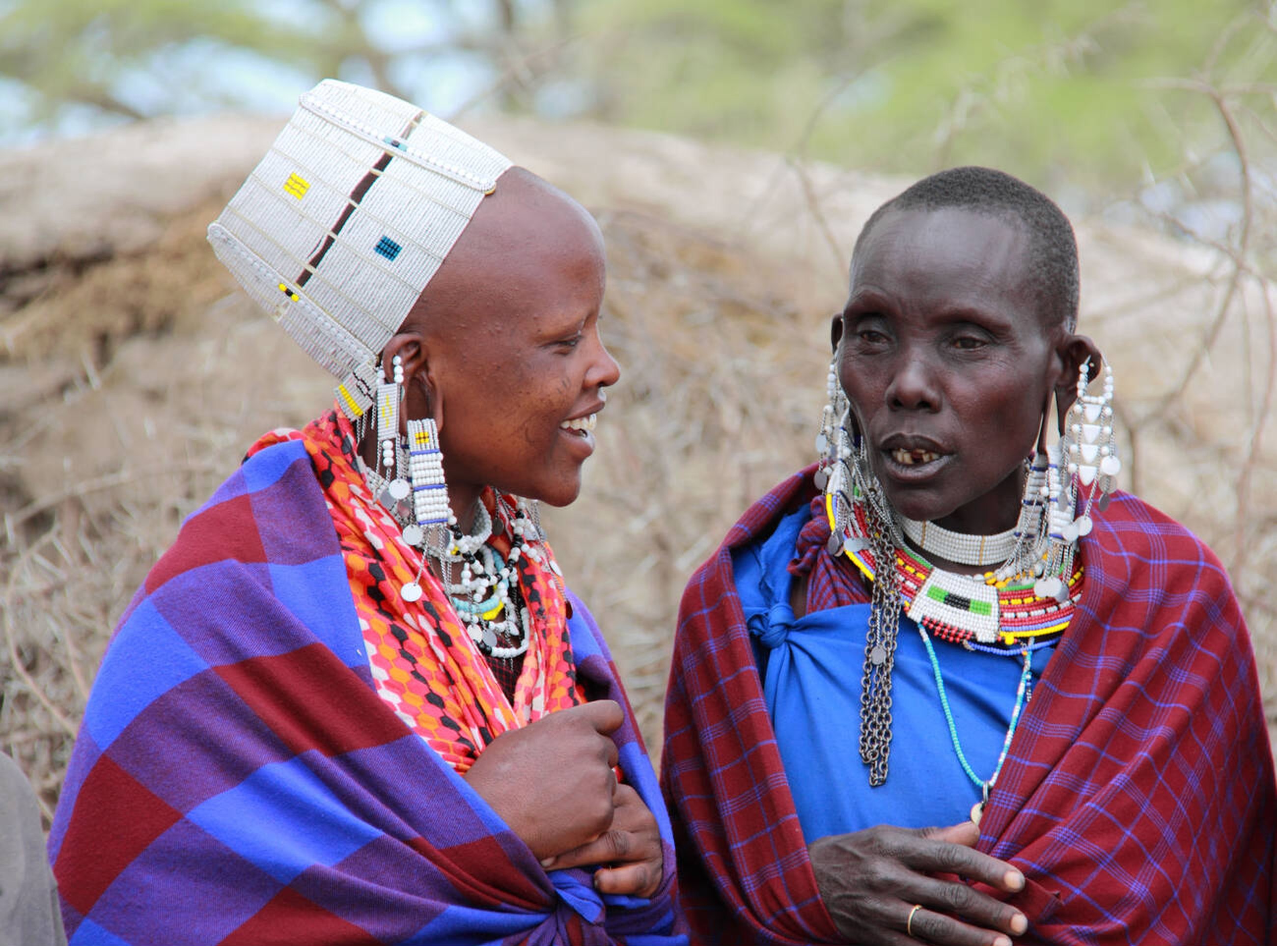Meet the Maasai: Everything You Need to Know About Tanzania’s Maasai People