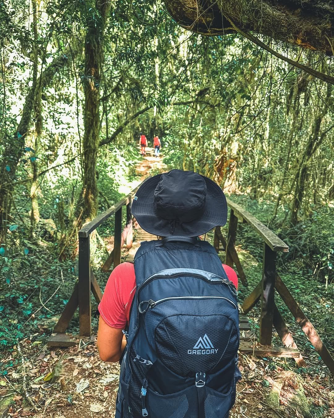 Mount Kilimanjaro Day Hikes