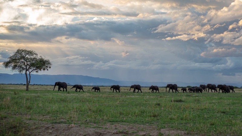 Tarangire National Park