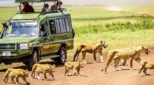 Day trips to Ngorongoro Crater