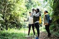 Tropical forest landscapes