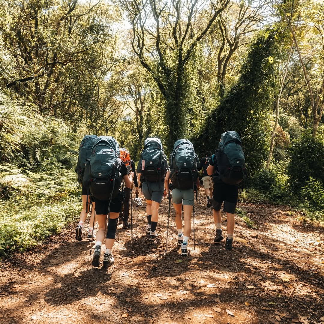 Kilimanjaro Hikes