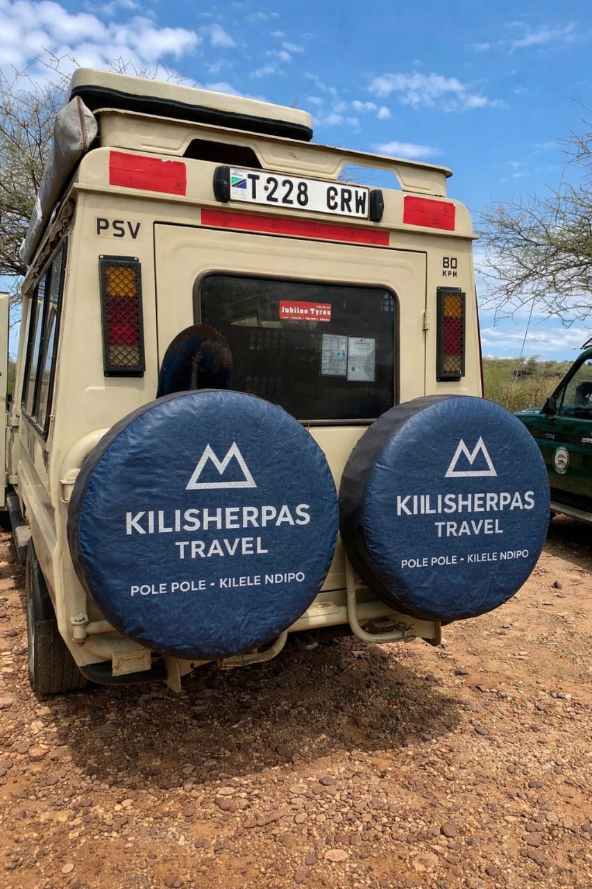 Save this for your next vacation

These scenes aren't just for watching; you can actually be here. Book your Tanzania safari with us and experience national parks, luxury lodges, and unforgettable wildlife up close.