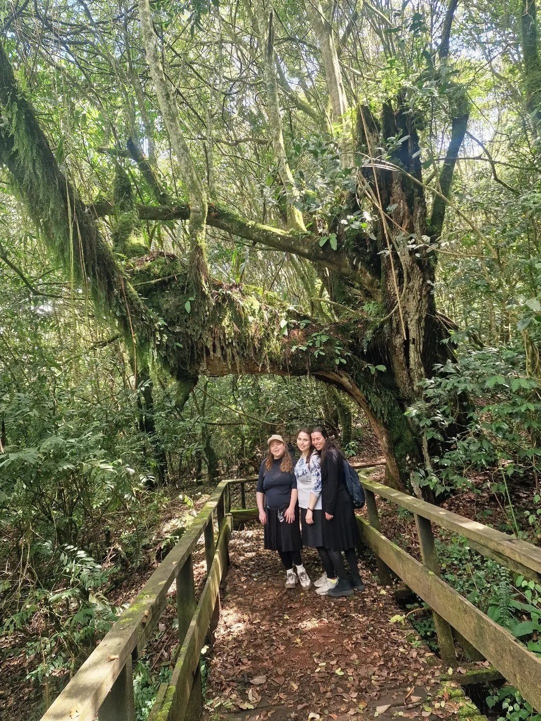 Kilimanjaro Day Hiking