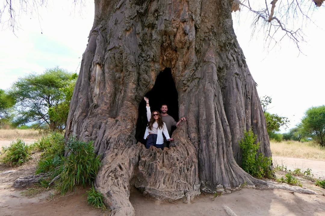 Game-drive & Bush Walk in Tarangire and Ngorongoro