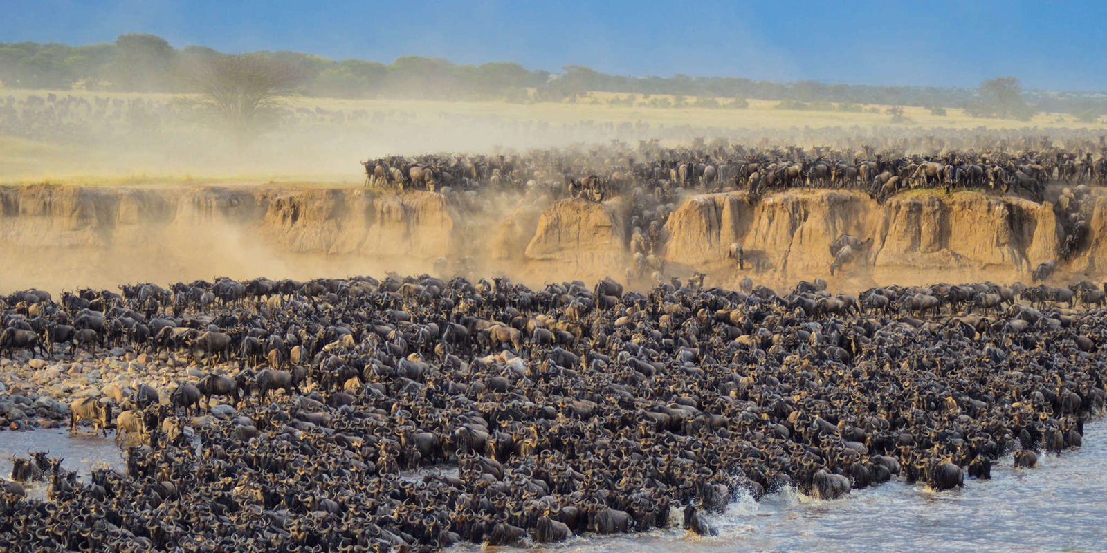 Witness the Great Migration in Northern Serengeti - Image 4