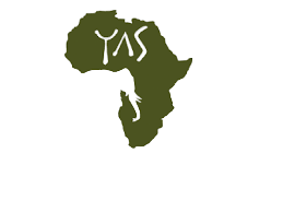 Your African Safari