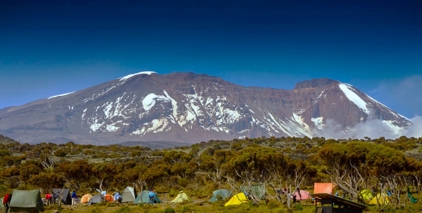 Discover the Majesty of Kilimanjaro