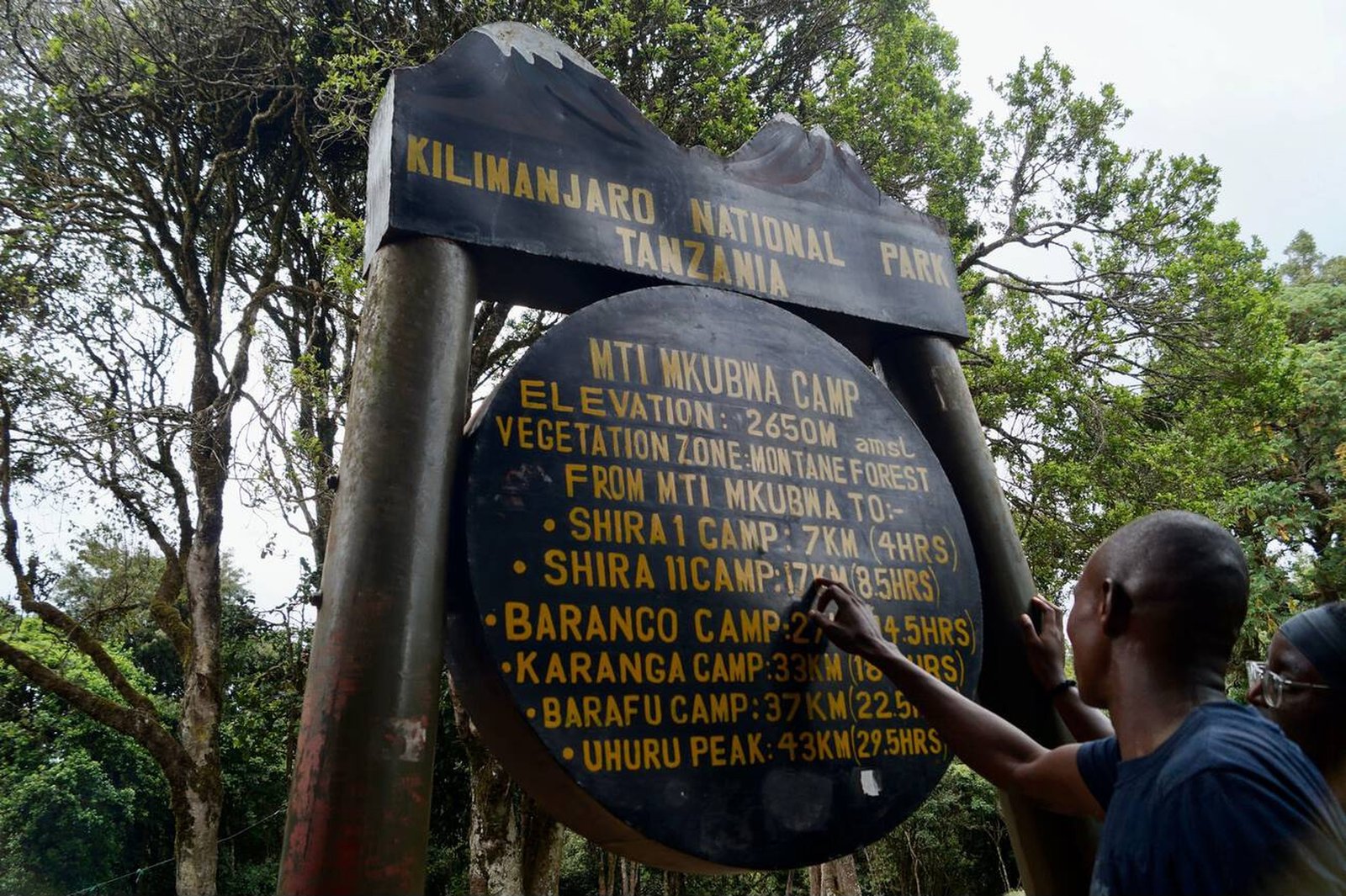 Big Tree Camp - Gallery Image 1