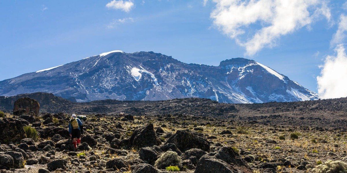 Moir Huts - Gallery Image 2