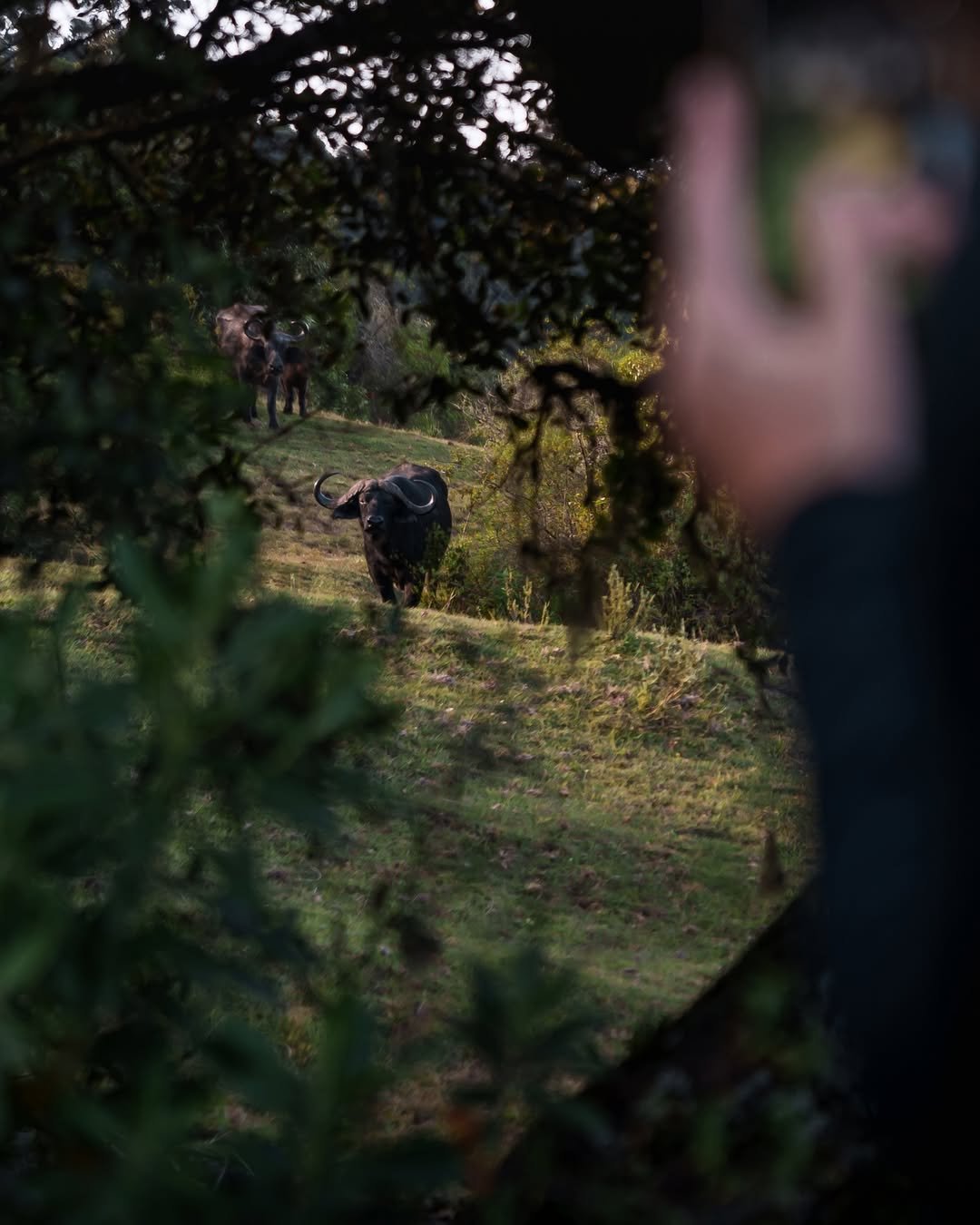 Miriakamba Hut - Gallery Image 2