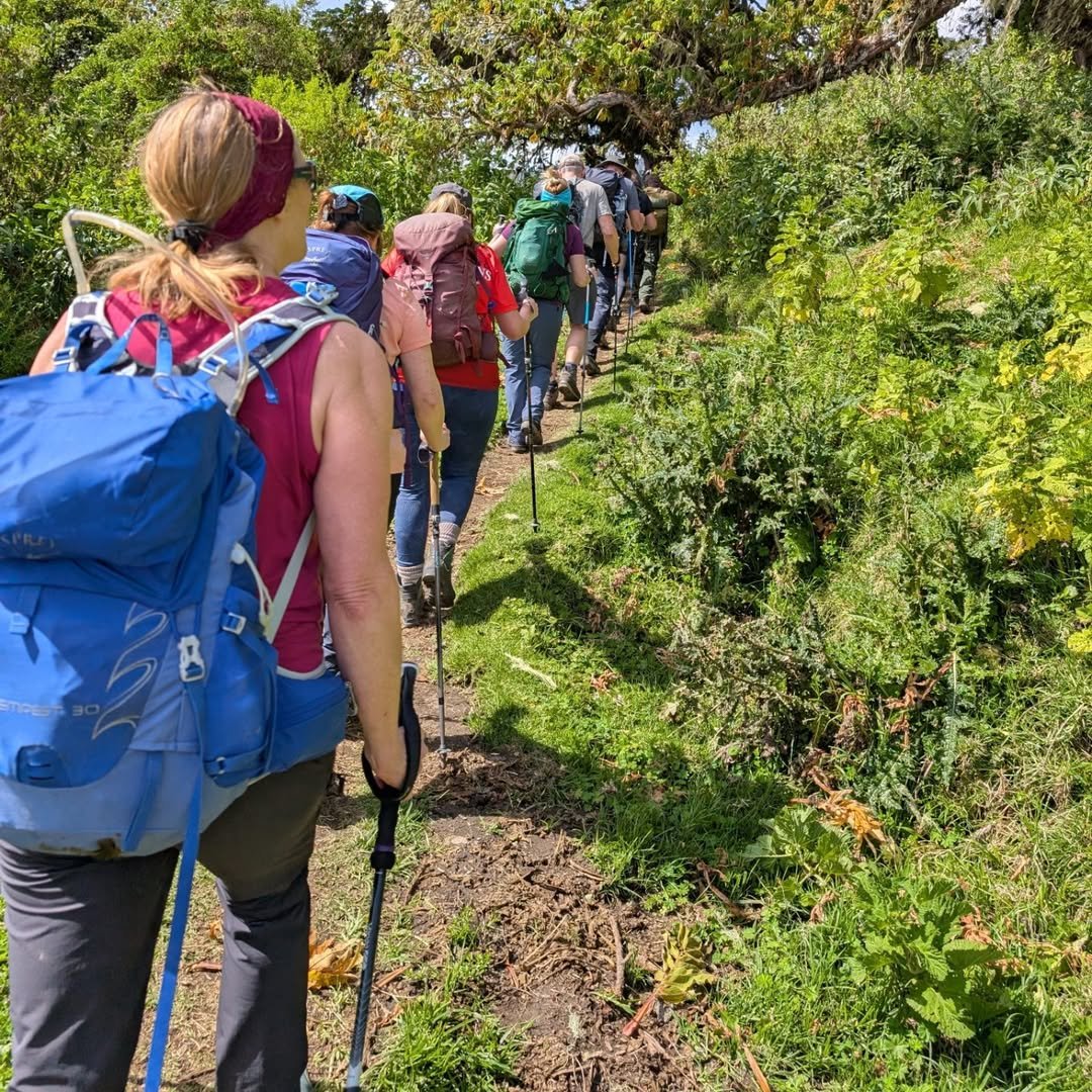 Saddle Hut - Gallery Image 1