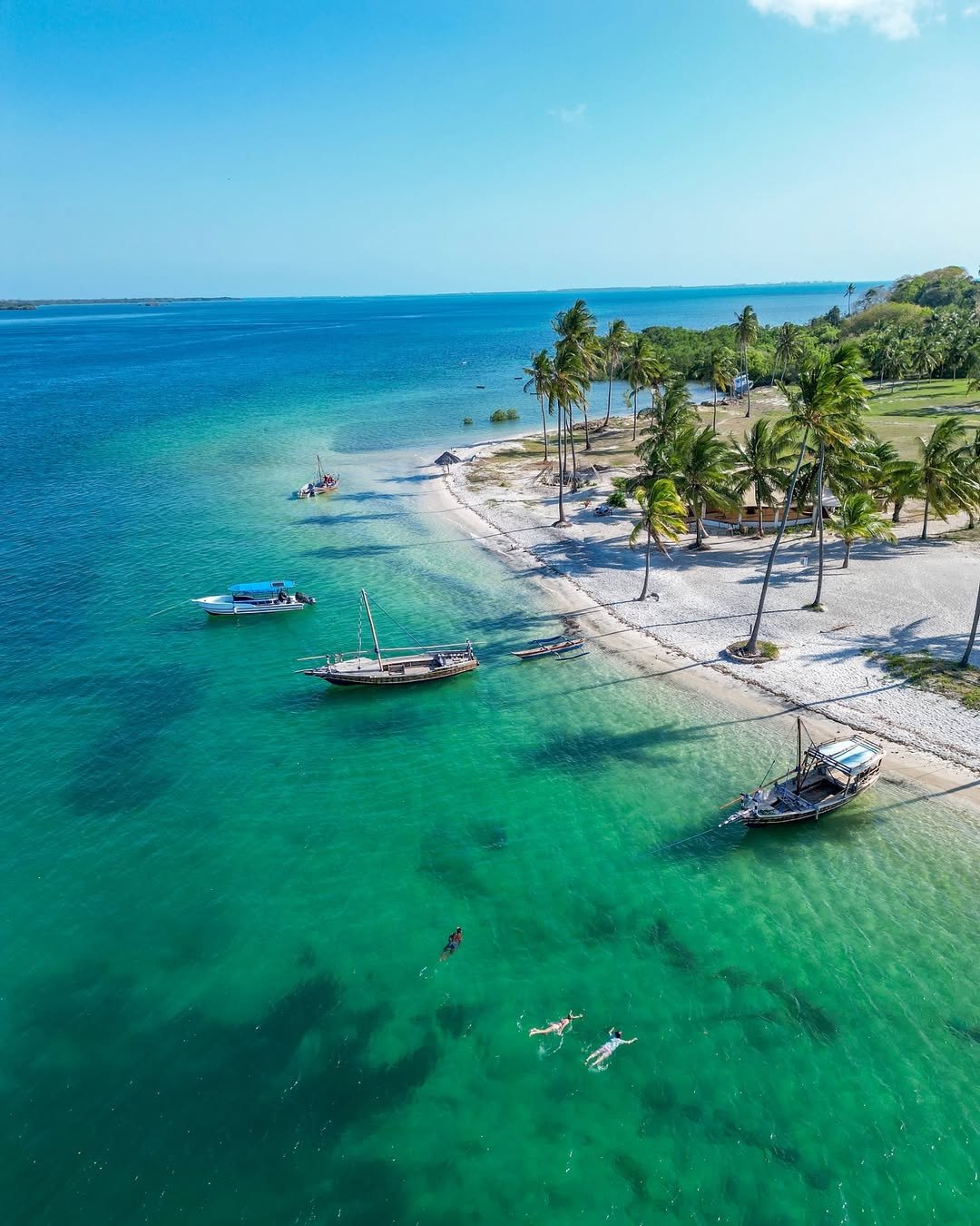 Mafia Island, Tanzania: A Complete Guide to the Hidden Paradise (2026)