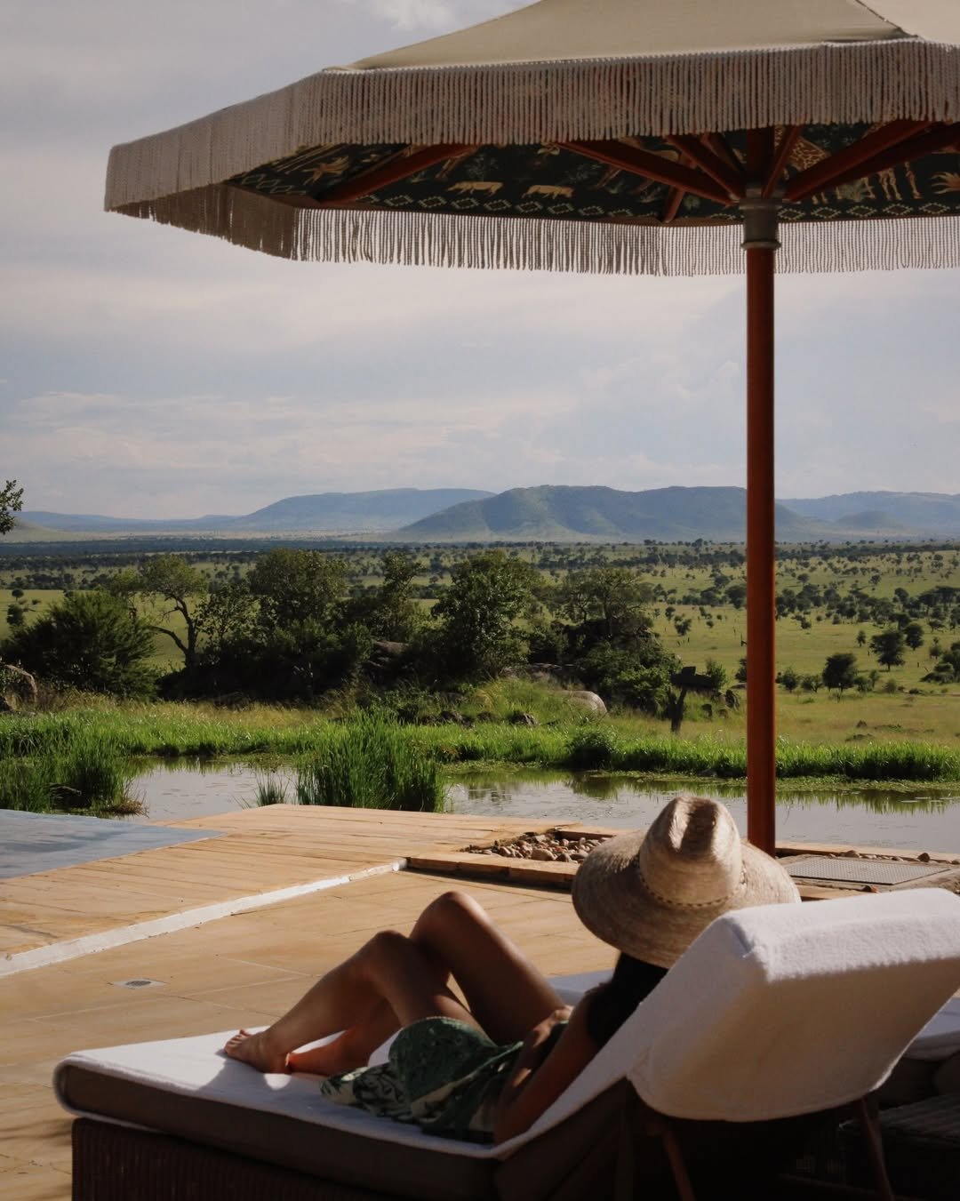 How Much Does a Safari in Tanzania Cost? Complete 2026 Guide