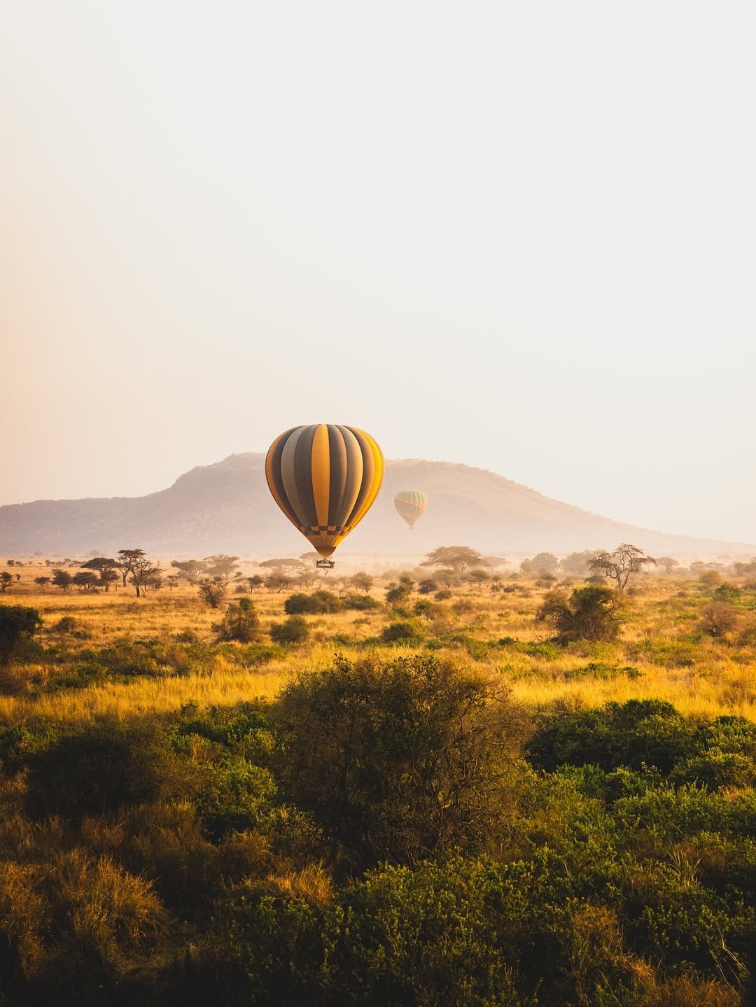 Hot Air Balloon Safari in Tanzania | A Unique Experience