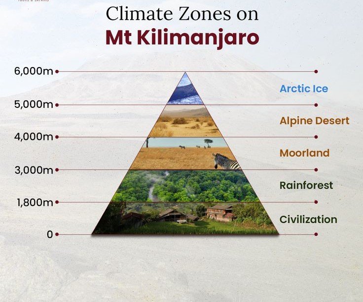 Kilimanjaro Climate Zones: From Tropical Rainforests to Icy Summits