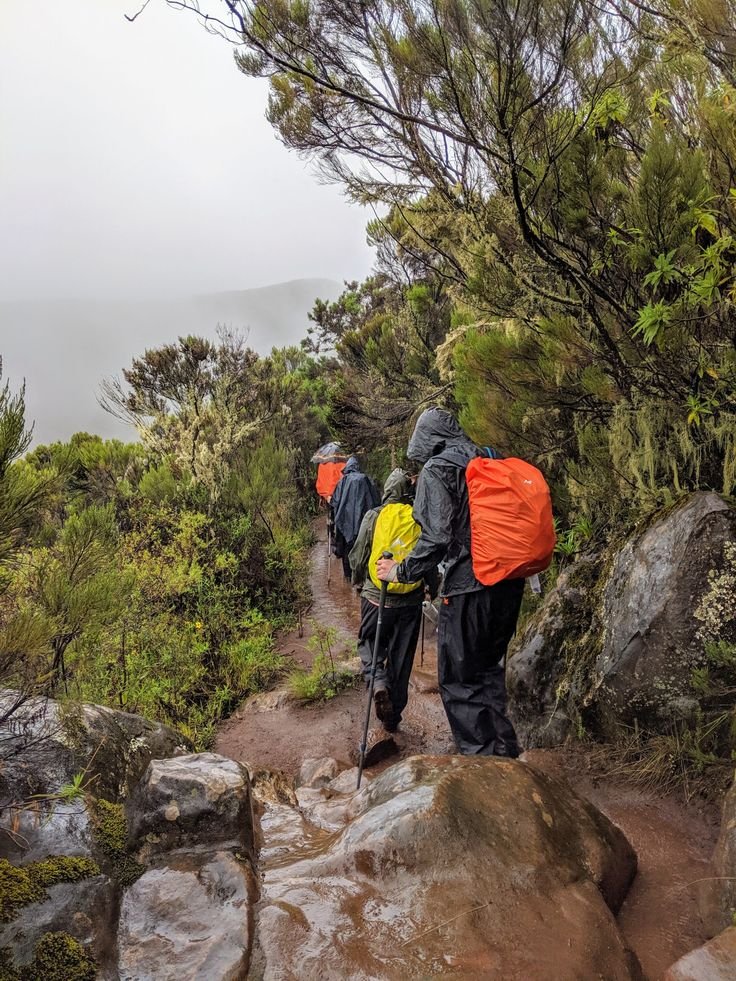Climbing Mount Kilimanjaro During the Rainy Season: Tips, Pros & Cons for Adventurers