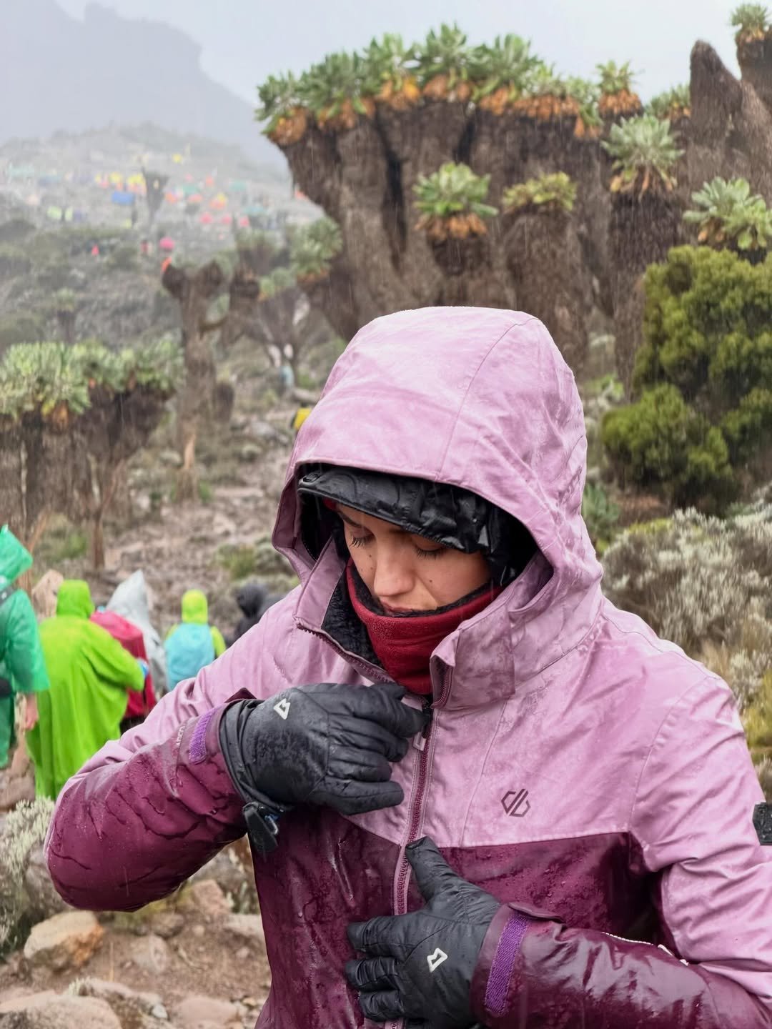 Which Kilimanjaro Route Is Best for Your Adventure? Expert Guide by Kilisherpas Travel