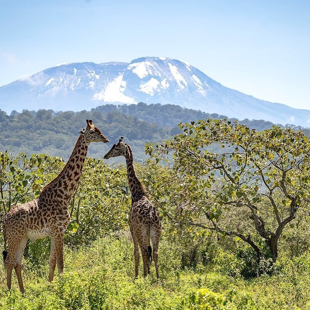 Arusha National Park