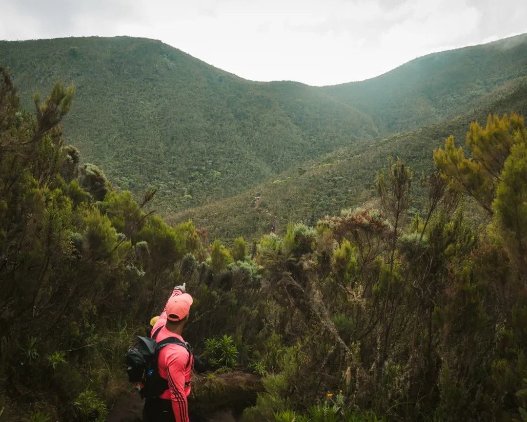 Kilimanjaro National Park