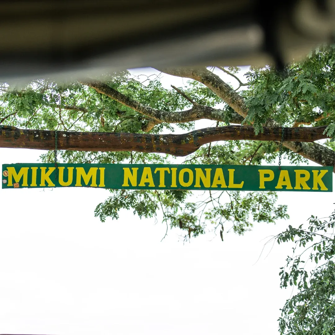 Mikumi National Park
