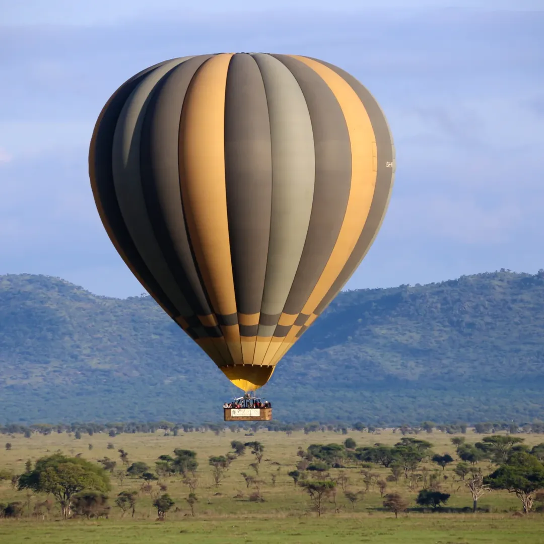 Visiting Tanzania soon? Start your day with a sunrise game drive, float above the plains in a hot air balloon, and enjoy a bush breakfast in the wild. It's one of the most breathtaking safari experiences you can have!

Contact us to book your balloon safari with us:

#balloonsafari #serengetinationalpark #tanzaniasafari #kilisherpas #fypage

