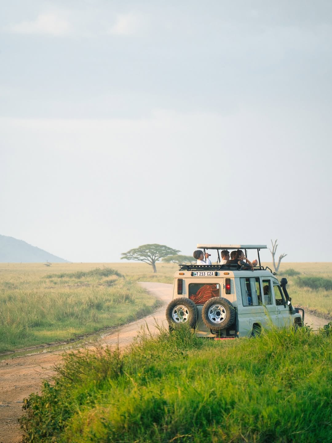 Safari SUVs