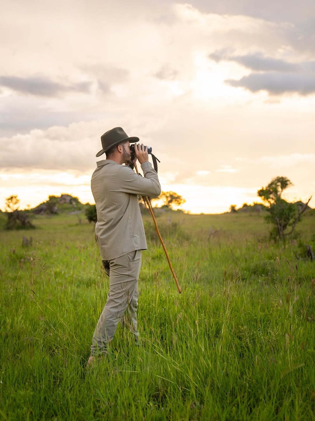 Why Kilisherpas Sets the Benchmark for Safaris