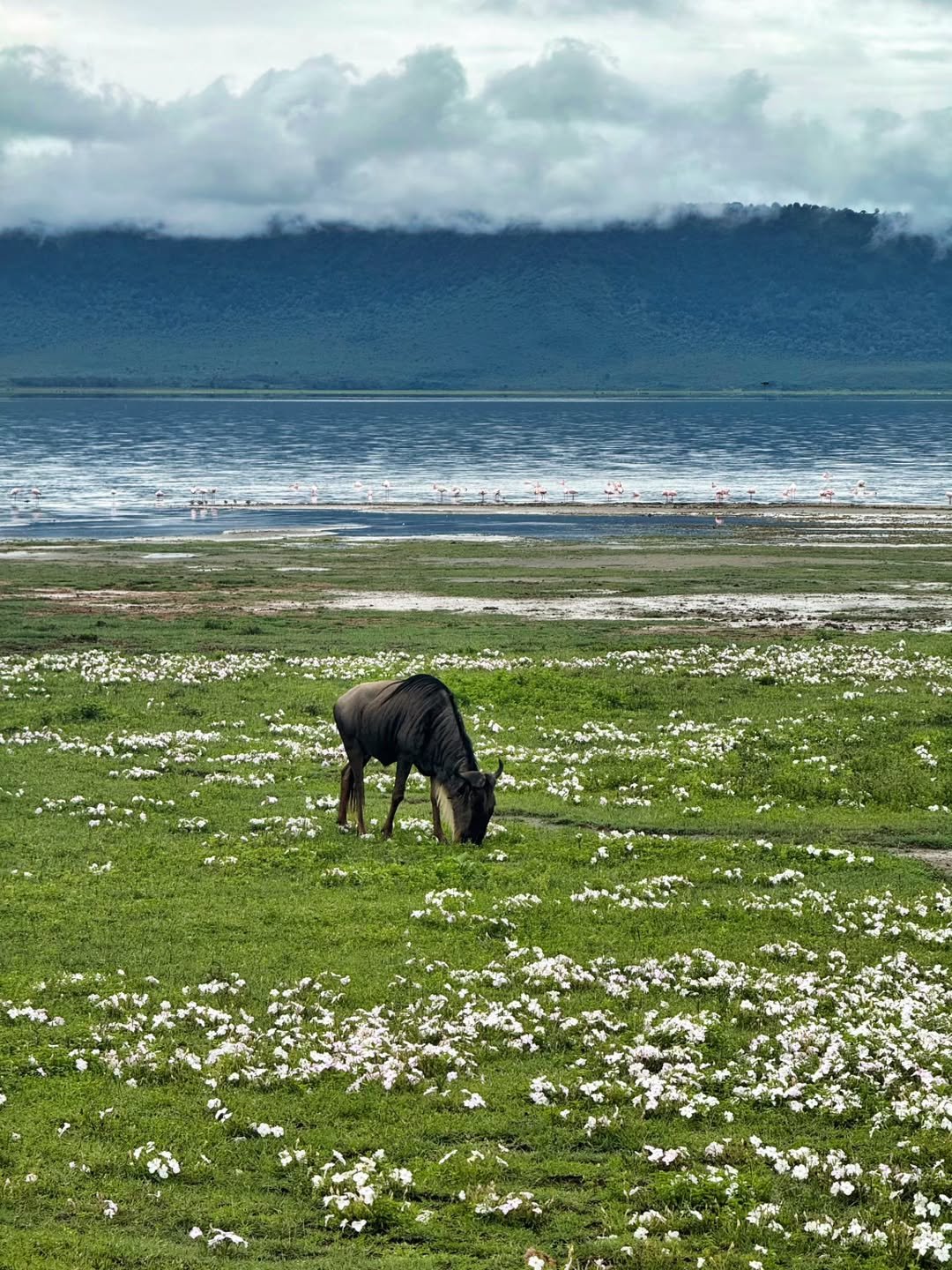 Ngorongoro 2-Day Trip: Sunrise on the Rim - Image 2