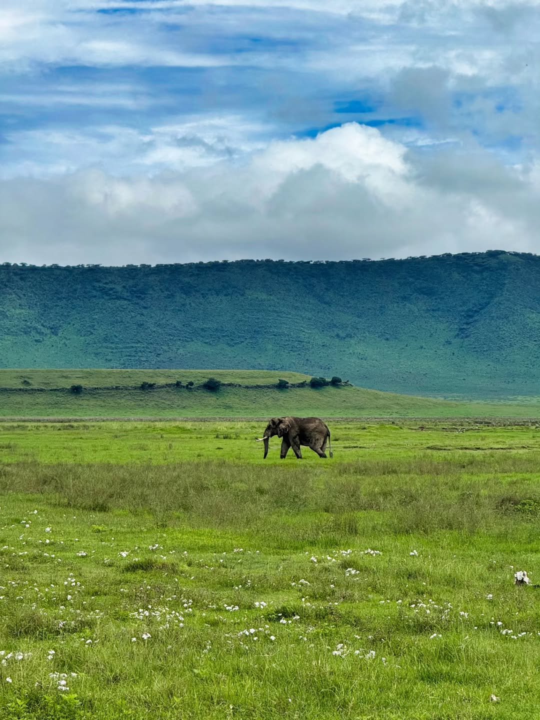 Ngorongoro 2-Day Trip: Sunrise on the Rim - Image 4