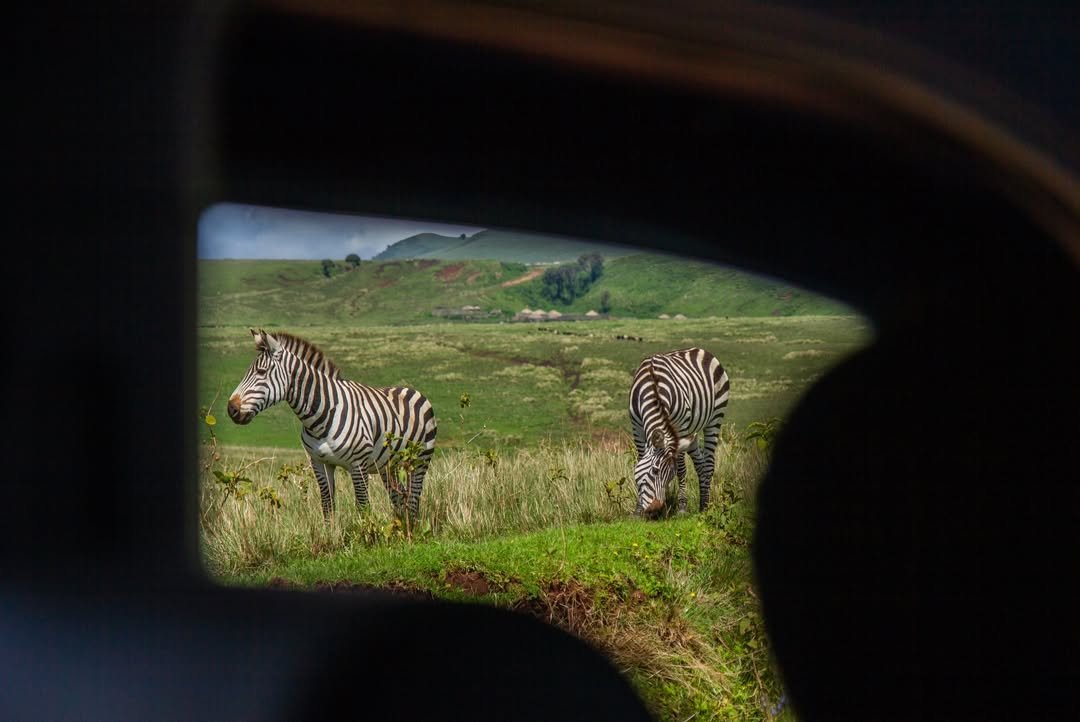 7-Day Tarangire, Serengeti & Ngorongoro - Image 4