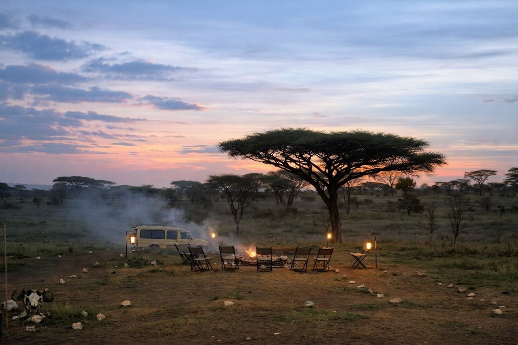 3-Day Arusha NP, Tarangire & Ngorongoro - Image 7