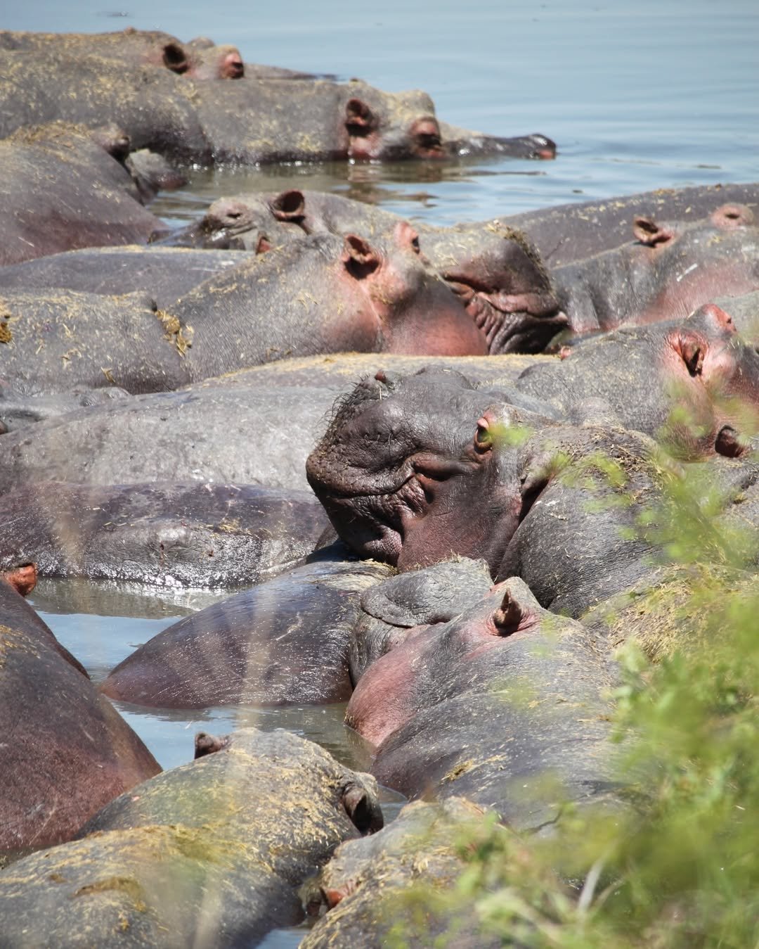 3-Day Tarangire & Ngorongoro Crater - Image 2