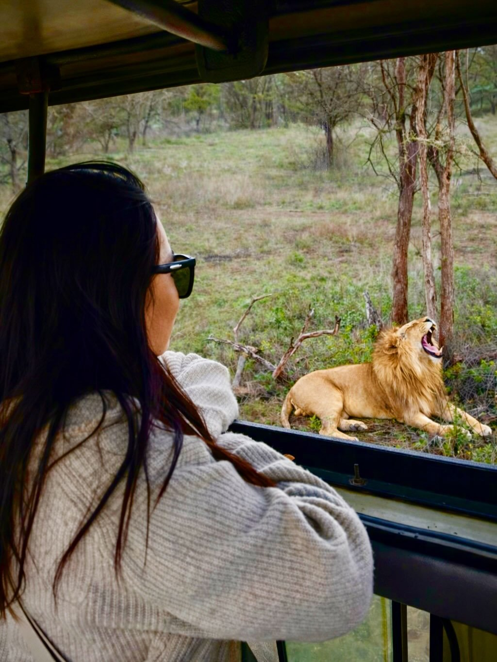 3-Day Tarangire & Ngorongoro (Comfort) - Image 3